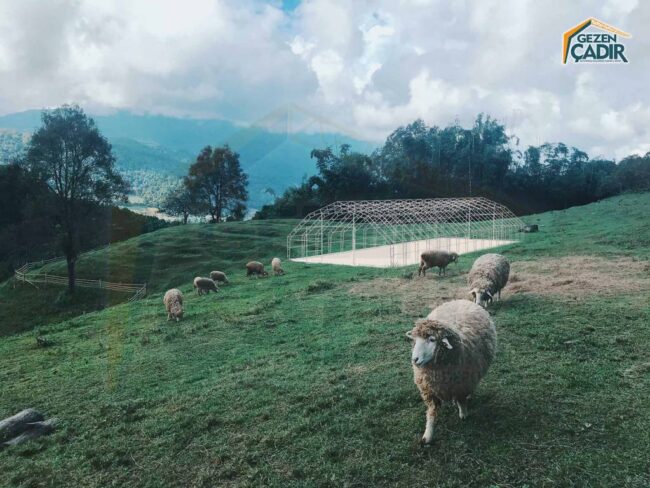 küçükbaş çadırı iskelet