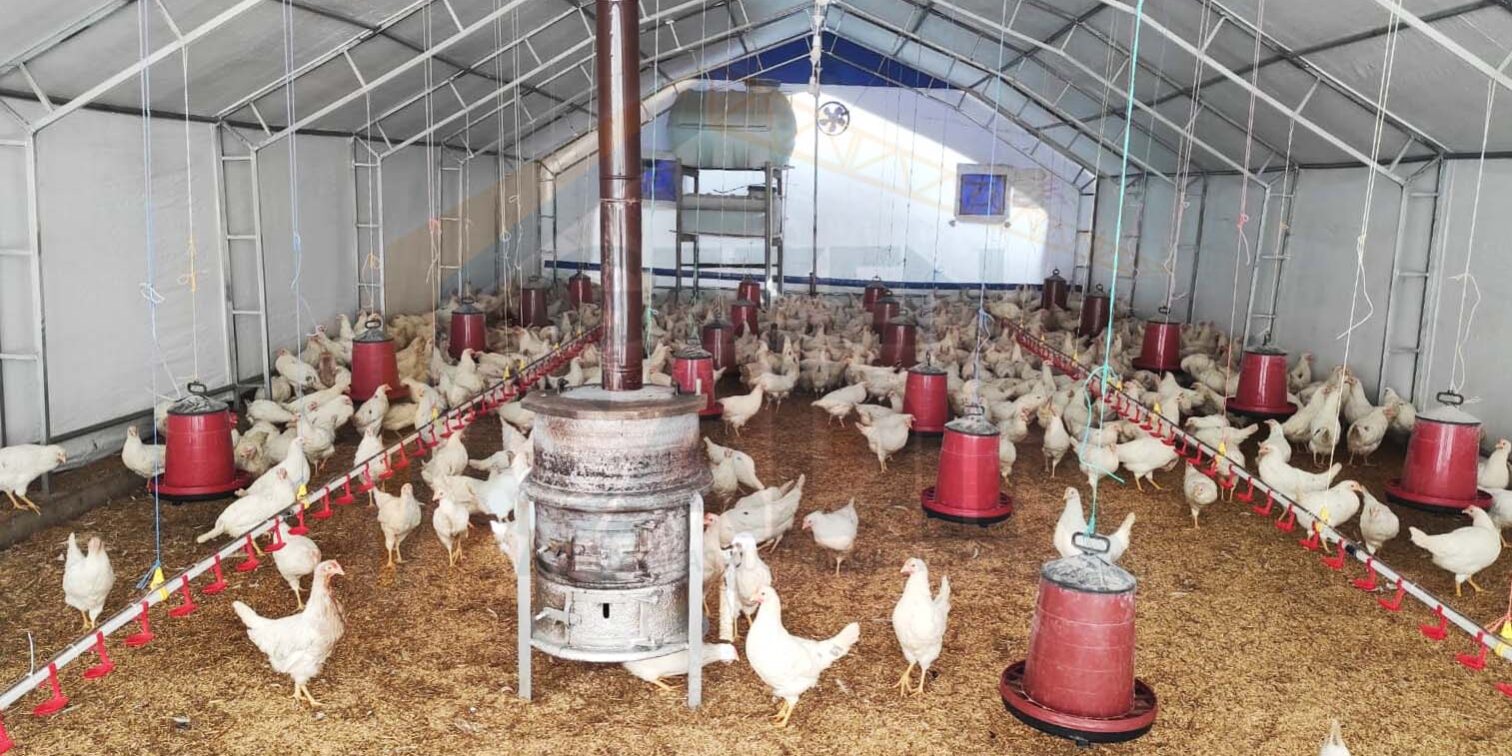 kümes çadırı Tavuk çadırı