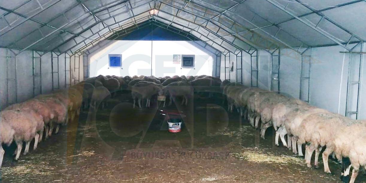 koyun çadırı fiyatı
