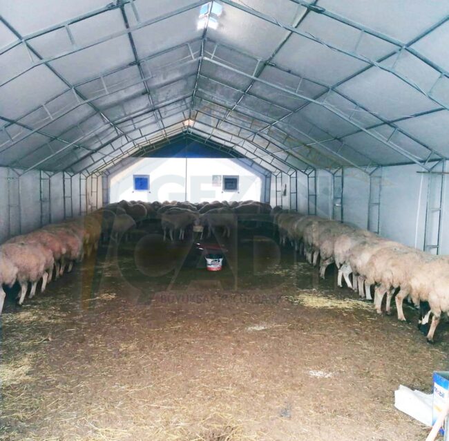 küçükbaş koyun çadırı fiyatı koyun çadırı fiyatı