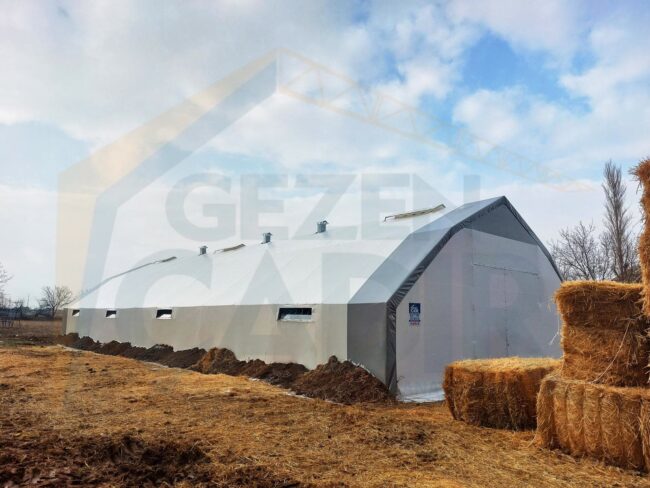 Konya’da kurduğumuz 10×26 m krem hayvan çadırı Konya’da kurduğumuz 10x26 m krem hayvan çadırı